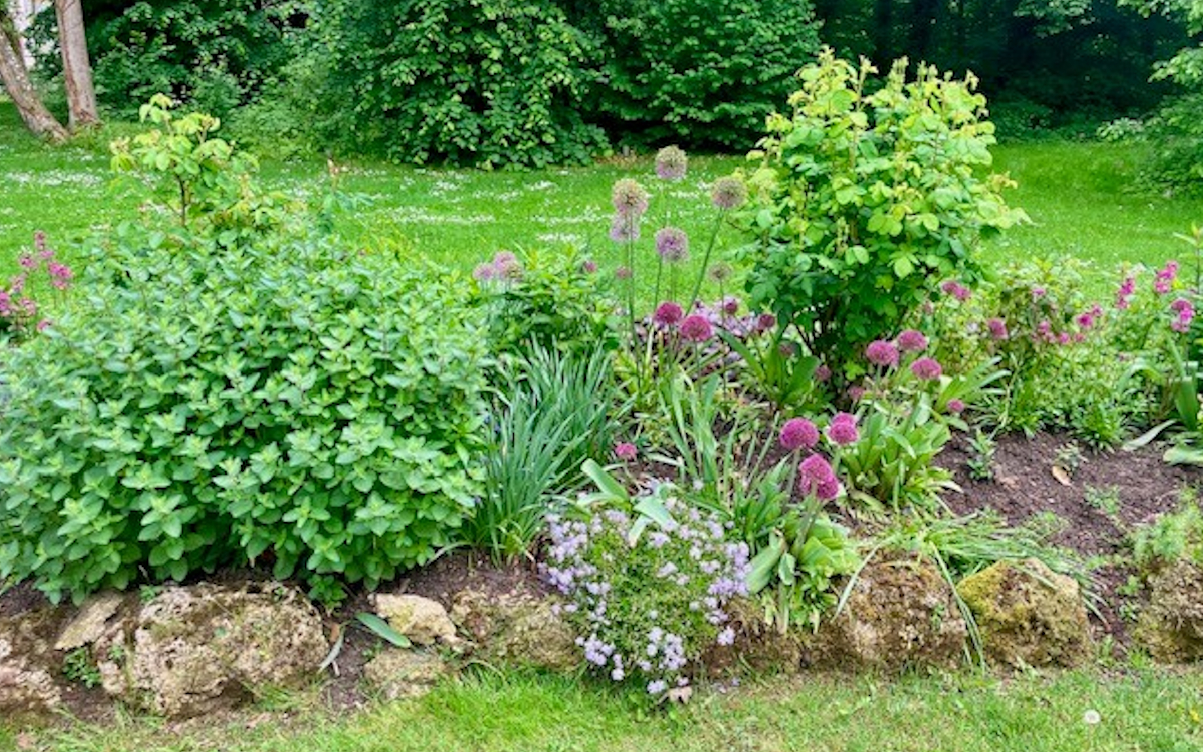 Blumenbeet im Fürstengarten in Hechingen direkt neben der Orangerie Hechingen