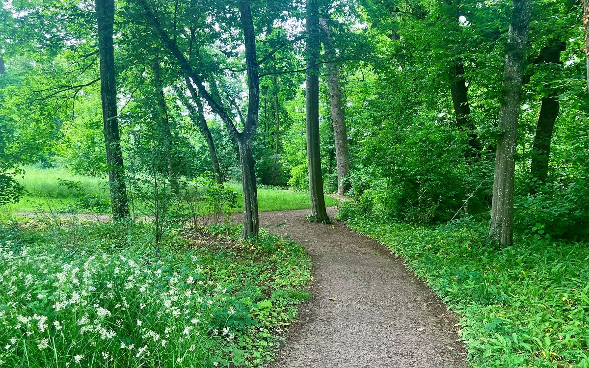 Spazierweg im Fürstengarten in Hechingen direkt neben der Orangerie Hechingen